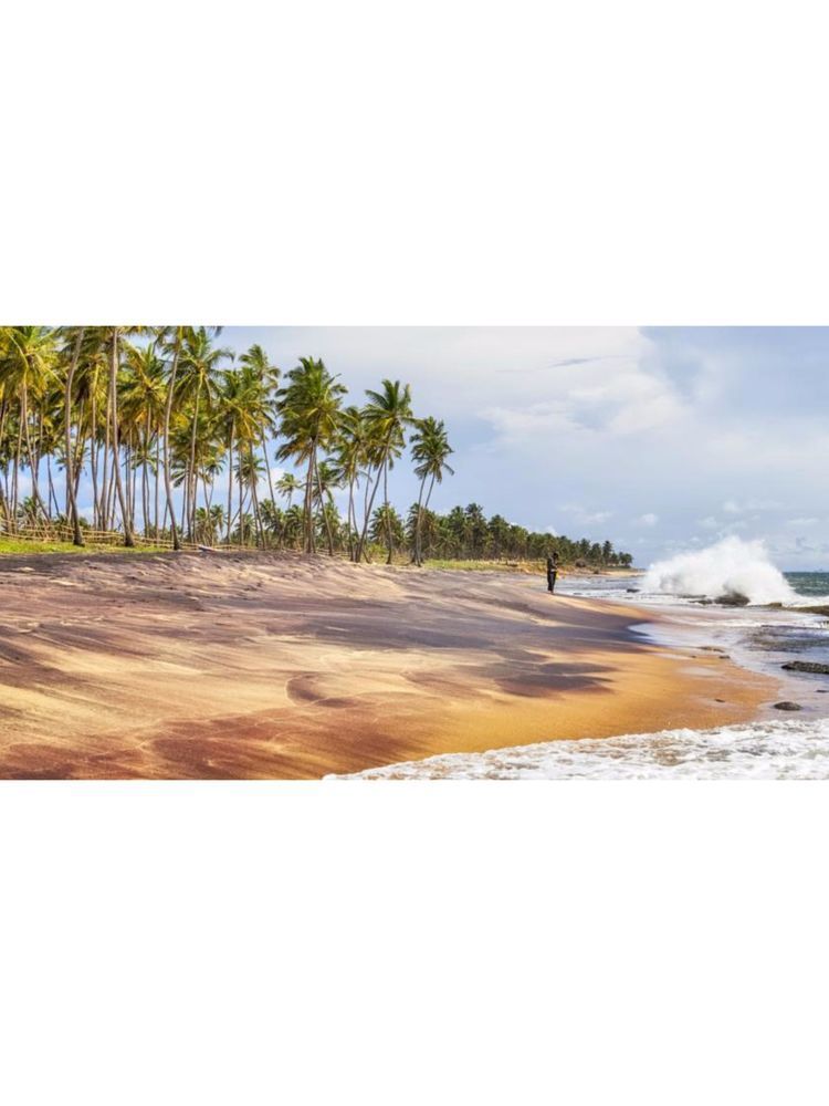 Sujeewani Villa Negombo Exteriér fotografie